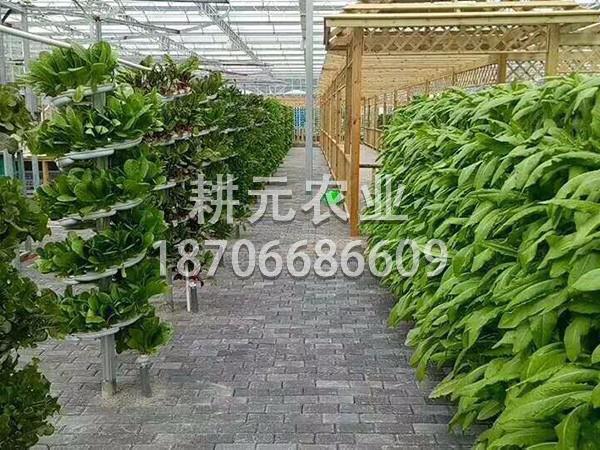 建設生態(tài)餐廳應該注意哪些細節(jié)